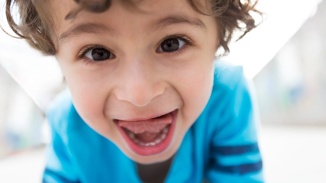 Pointing to the temporomandibular joint (TMJ) on a model school